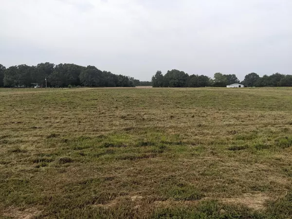 Marshfield, MO 65706,Tract 4 State Highway J