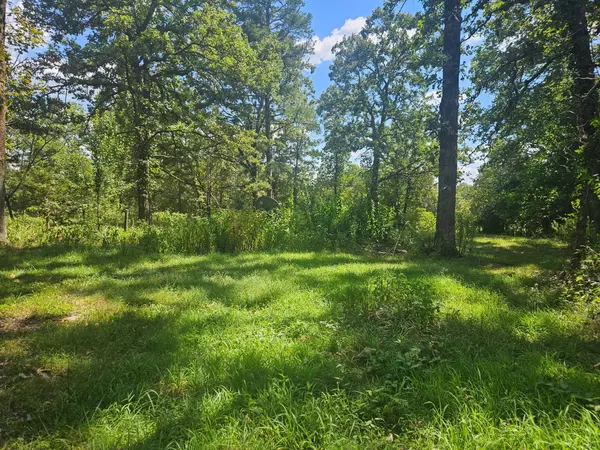 Mountain View, MO 65548,8009 County Road 3740