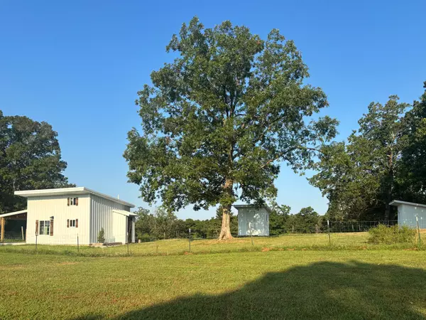 Theodosia, MO 65761,9121 State Highway 95