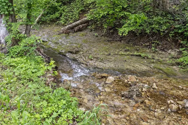 Blue Eye, MO 65611,1226 Peace In Valley RD