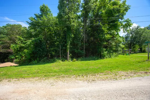 2 Lots Stillmeadow RD, Merriam Woods, MO 65740