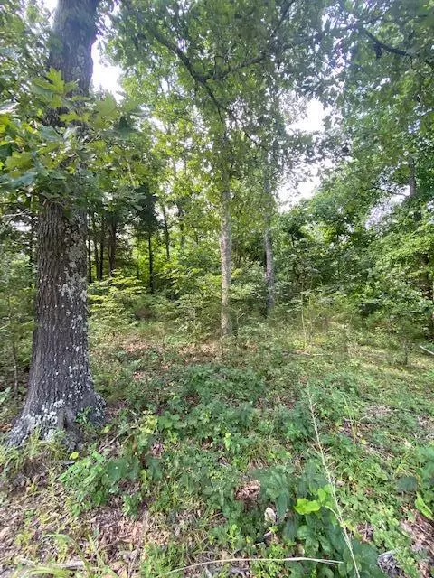 Dora, MO 65637,Tbd County Road 355 Lot 19