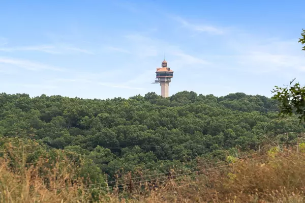 Branson, MO 65616,Tbd Old Rte 76