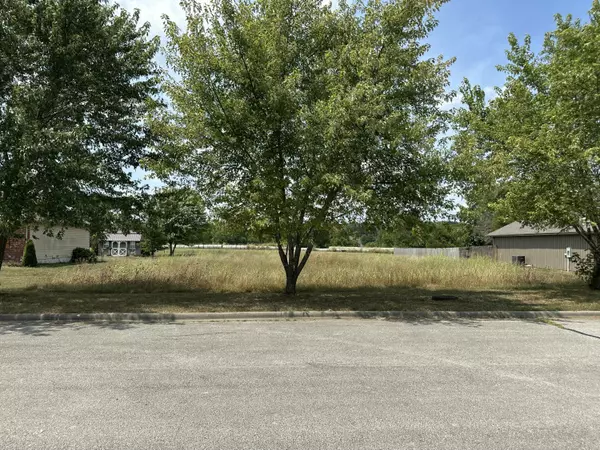 Pleasant Hope, MO 65725,#17-5481 Anita Ave