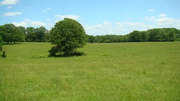 Mountain View, MO 65548,00 Track 3 State Rout W