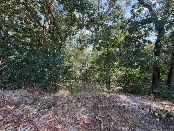 Spokane, MO 65754,Lot 51 Seclusion DR