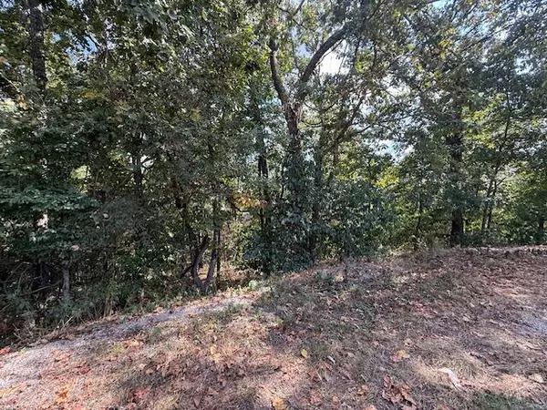 Spokane, MO 65754,Lot 51 Seclusion DR