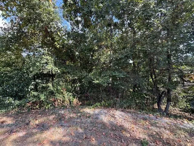 Spokane, MO 65754,Lot 51 Seclusion DR