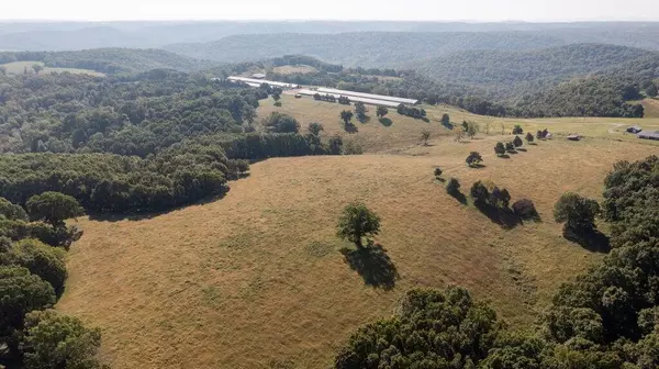 Cassville, MO 65623,16478 Farm Road 1170