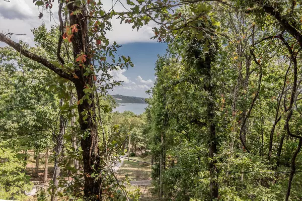 Galena, MO 65656,428 Ice Box Cove LN