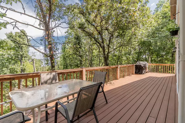 Galena, MO 65656,428 Ice Box Cove LN