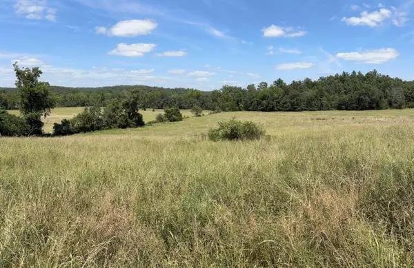 3922 County Road 534, Ellington, MO 63638