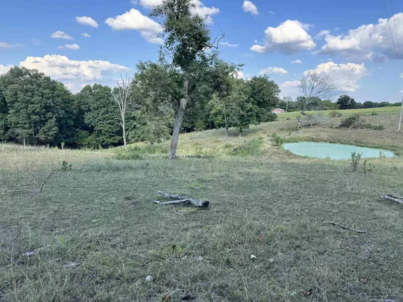 000 Center RD, Ozark, MO 65721