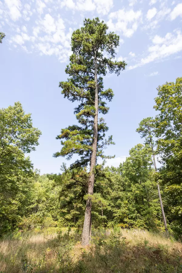 Eminence, MO 65466,000 State Highway 106