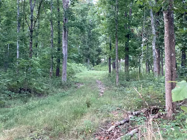 Hartville, MO 65667,000 Saint George RD #59