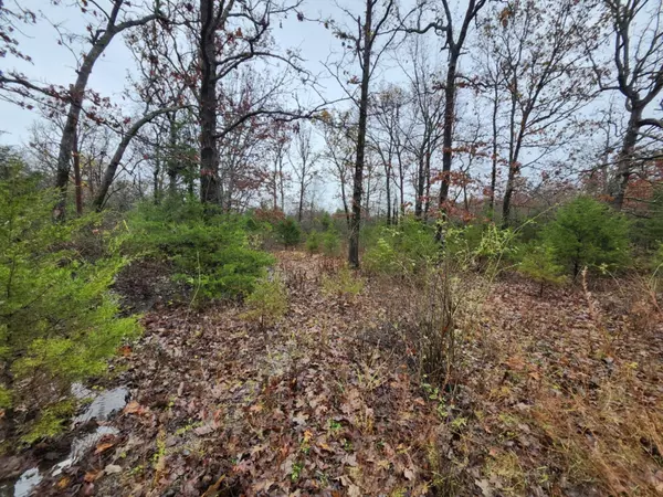 Bucyrus, MO 65444,000 Tbd Emery Road