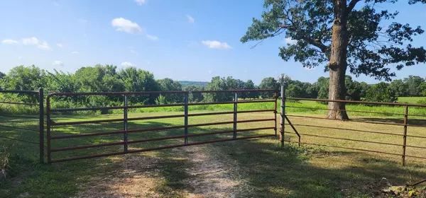 Washburn, MO 65772,000 State Hwy 90 -65 Acres +/-