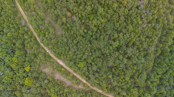 Chadwick, MO 65629,000 Merritt RD