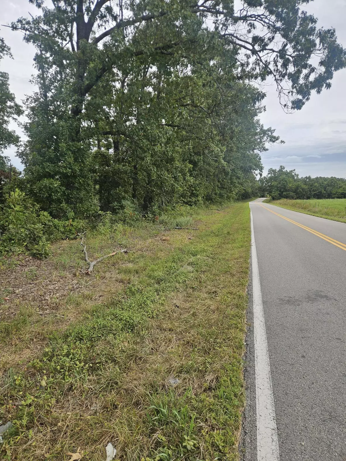 Norwood, MO 65717,000 Tbd C Highway