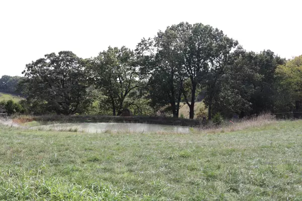 Highlandville, MO 65669,2-A White Ash RD