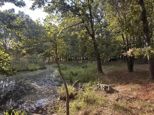 Mountain Grove, MO 65711,000 Grimes Mill DR