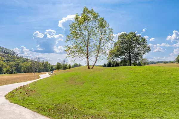 Crane, MO 65633,1211 Cox Ford RD