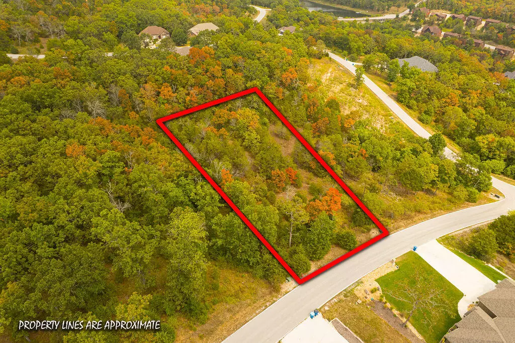 Branson West, MO 65737,207 Black Forest LN