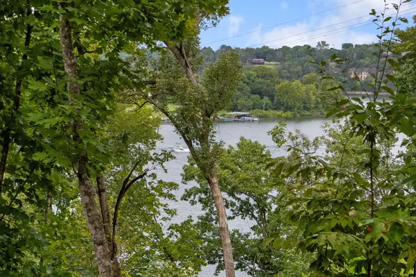 Eagle Rock, MO 65641,18530 W Eagle Rock Beach DR