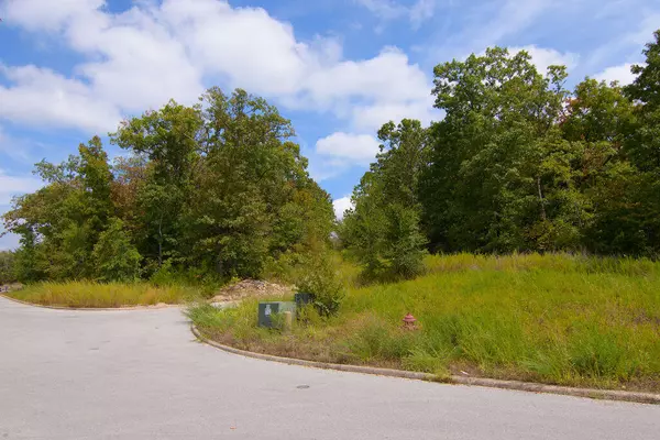 Branson West, MO 65737,Tbd Vining Meadows DR