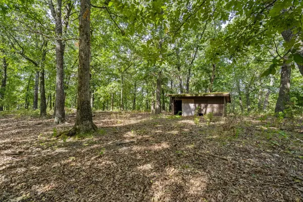 Strafford, MO 65757,000 Buena Vista Pkwy