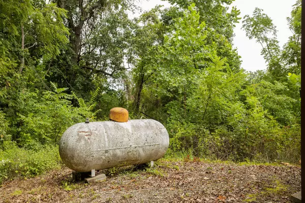 Powell, MO 65730,000 Cowan Ridge Rd