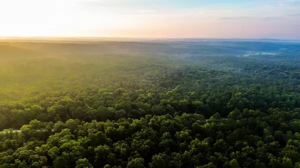 Birch Tree, MO 65438,000 County Road 625