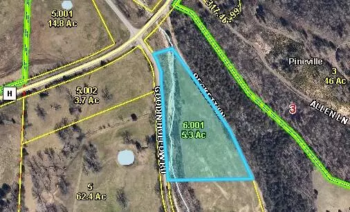 Pineville, MO 64856,5.3ac Goodin Hollow RD