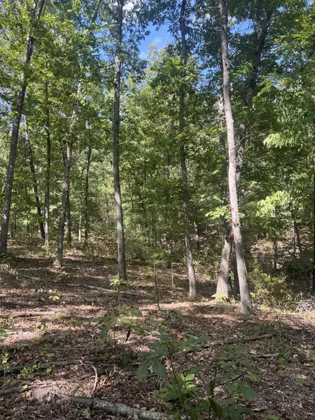 000 Hwy 76, Ava, MO 65608