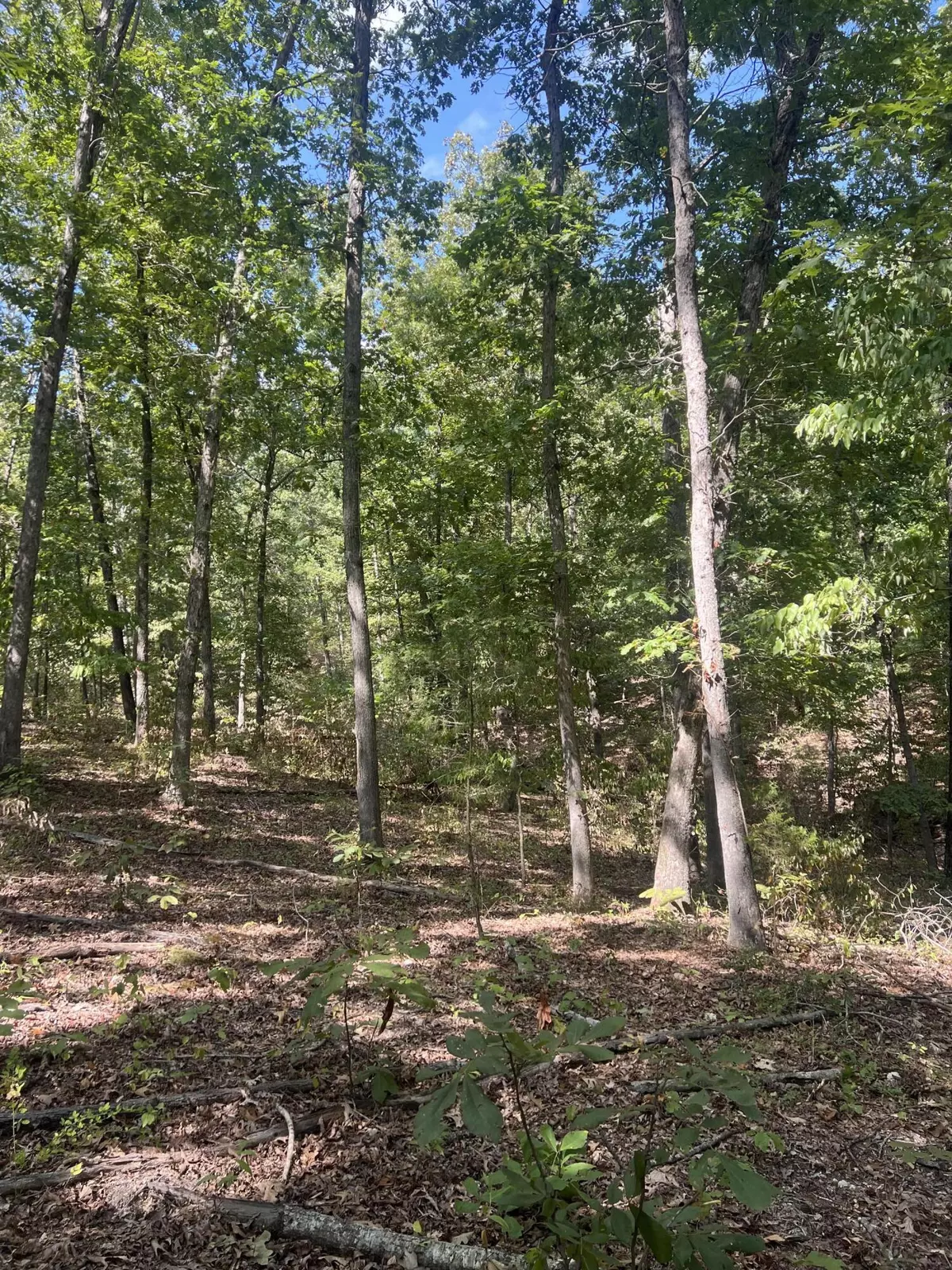 Ava, MO 65608,000 Hwy 76