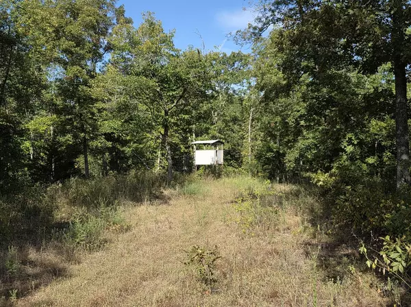 Osceola, MO 64776,000 SW Highway 54