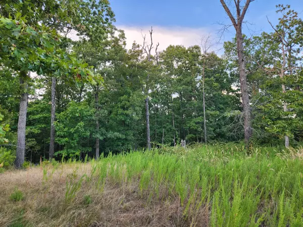 Ridgedale, MO 65739,000 Peace Lane