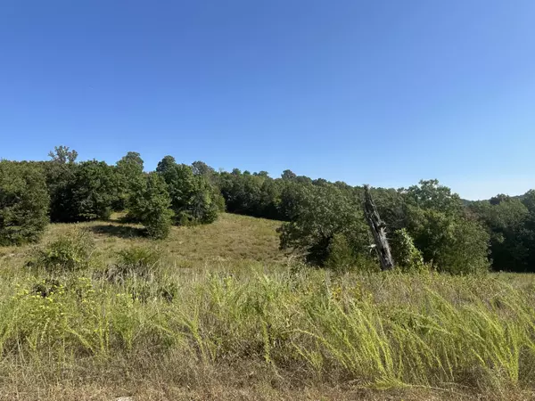 Chestnutridge, MO 65630,121 Legacy Farm RD