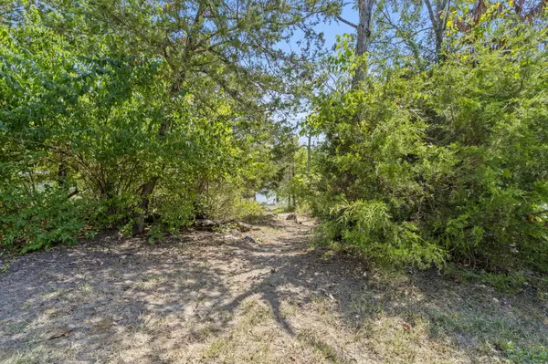 Branson, MO 65616,54 Lindal Cedar Lane