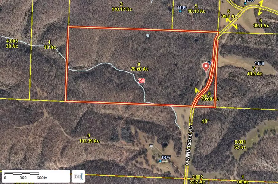 1485 Cowan Ridge RD, Powell, MO 65730