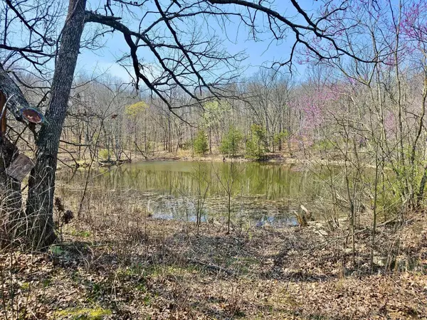 Mt Vernon, MO 65712,000 County Road 2115