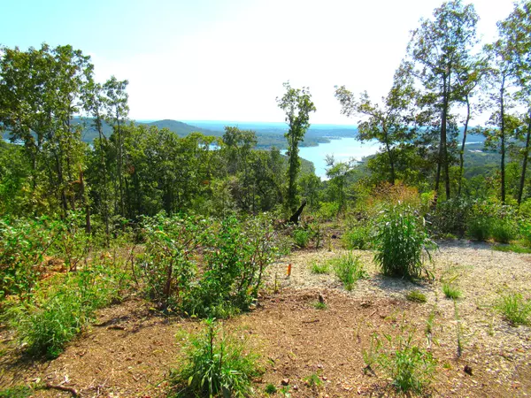 Shell Knob, MO 65747,000 Stallion Bluff Rd RD