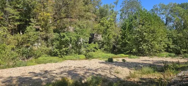 Houston, MO 65483,000 Brushy Creek RD