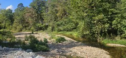 Houston, MO 65483,000 Brushy Creek RD