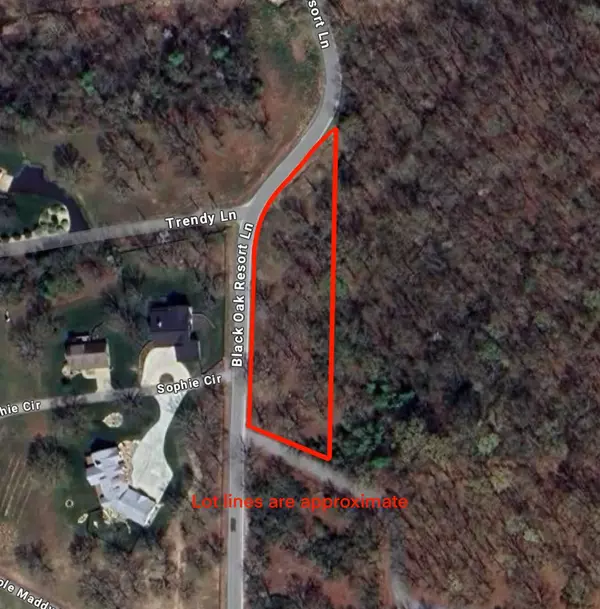 Lampe, MO 65681,000 Black Oak Resort LN