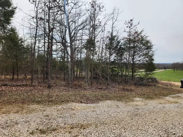 Long Lane, MO 65590,18 Cheek LN