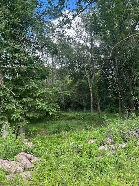 Harrisonville, MO 64701,Tbd S Walker RD