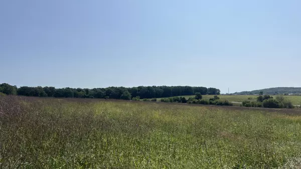 Mountain Grove, MO 65711,000 Gibson Lane RD #Lot #1