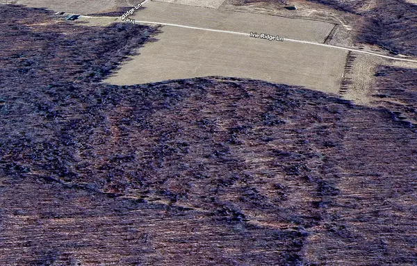 Niangua, MO 65713,Tbd Ivie Ridge