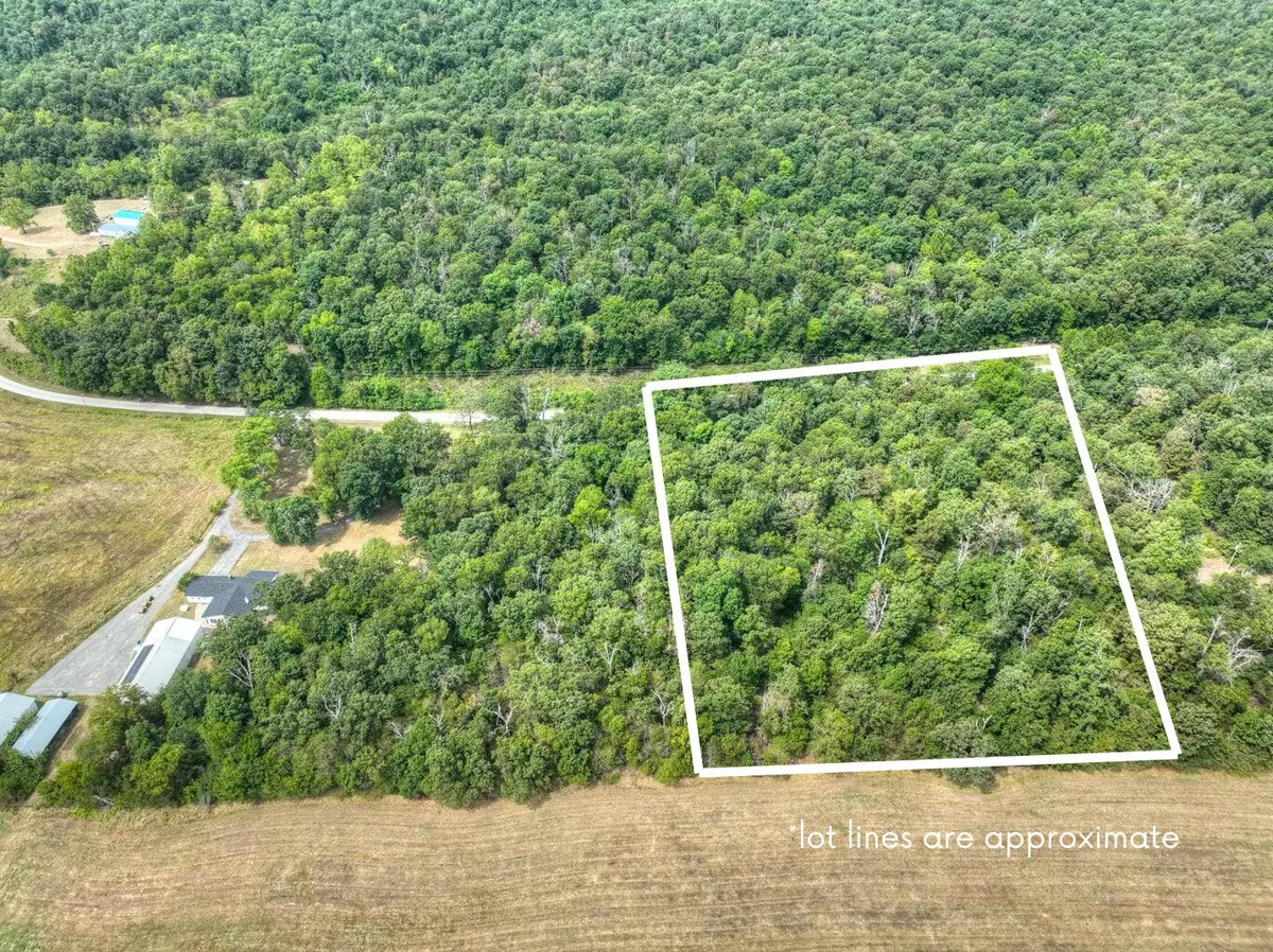 Neosho, MO 64850,Tbd Mink